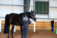 AJB_0675