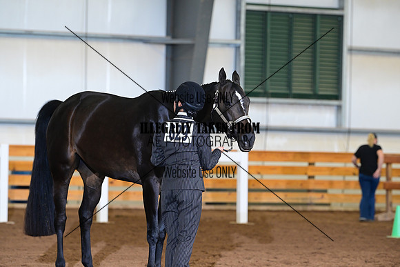 AJB_0675