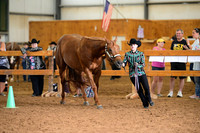 AJB_0766