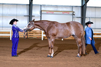AJB_0365