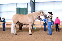 AJB_0961