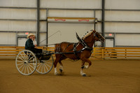 Sr. Youth Cart-9