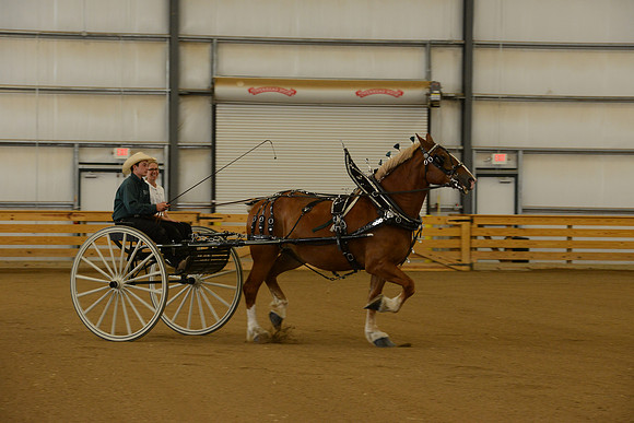 Sr. Youth Cart-9