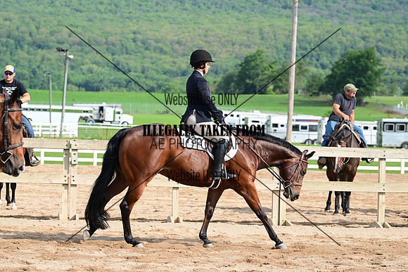 AJB_3687
