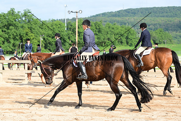 AJB_3668