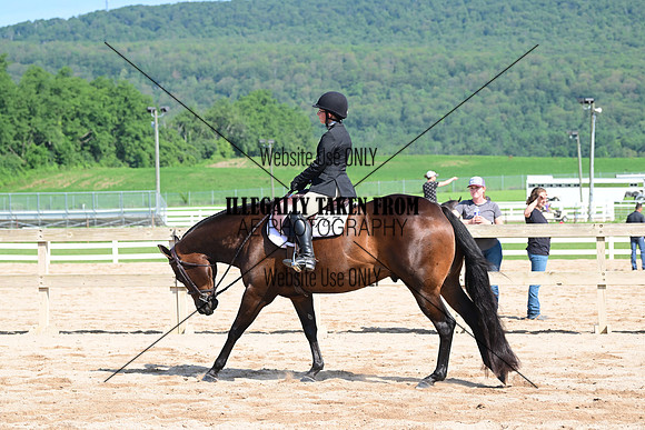 AJB_3963