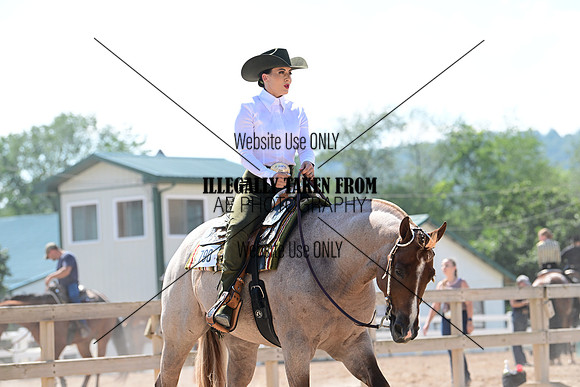 AJB_3078