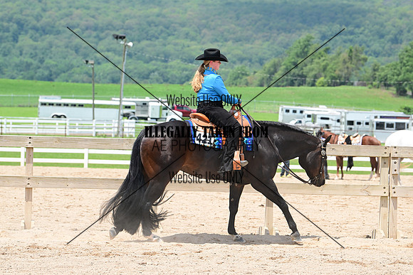 AJB_2193