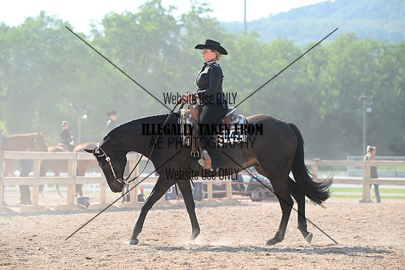 AJB_3356
