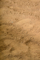 AJB_1042
