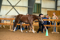 AJB_0028