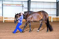 AJB_0587