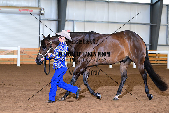 AJB_0437