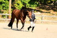AJB_0341
