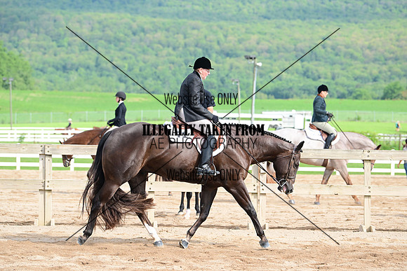 AJB_3708