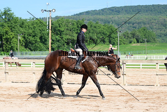 AJB_3924