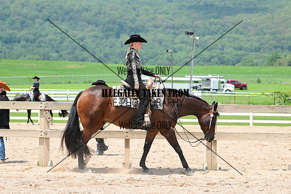 AJB_2190