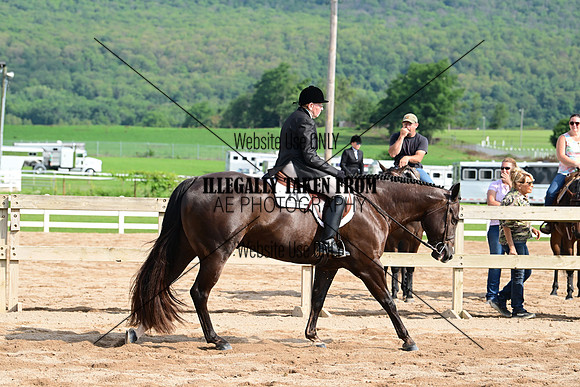 AJB_3679