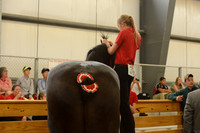 Youth Decorating-2