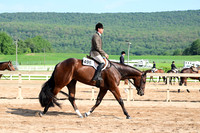 AJB_3629