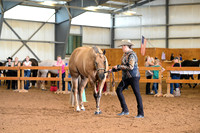 AJB_0281