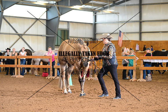 AJB_0281
