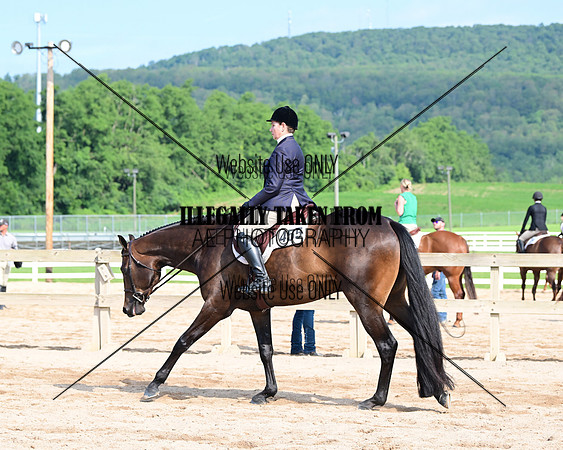 AJB_3897_watermark