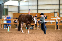 AJB_0619