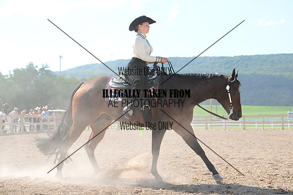 AJB_3404