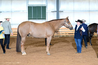 AJB_0975