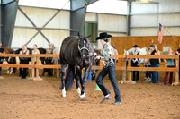 AJB_0240