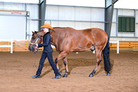 AJB_0712