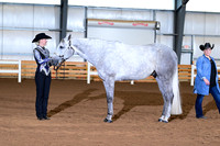 AJB_0390