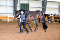AJB_0553
