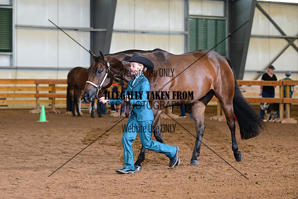 AJB_0562