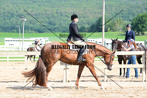 AJB_3907