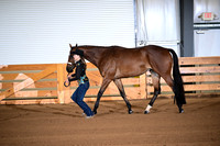 Level 1 Youth Performance Mares
