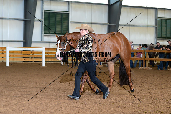 AJB_0232