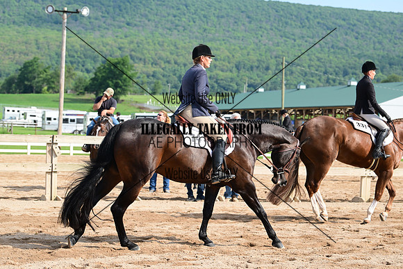 AJB_3681