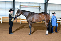 AJB_0216