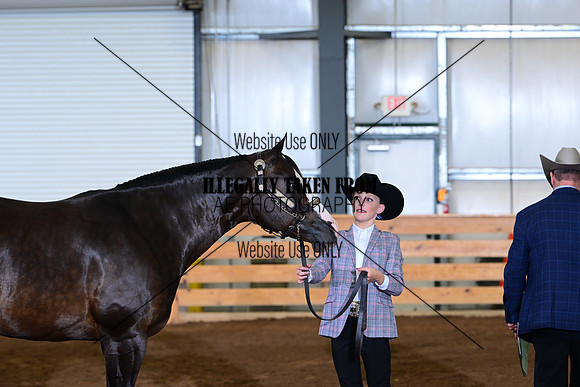 AJB_0822