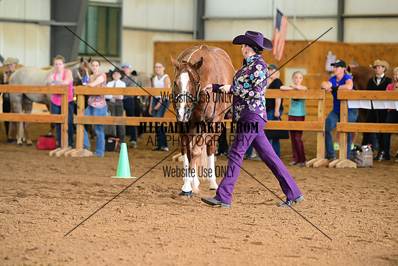 AJB_0248