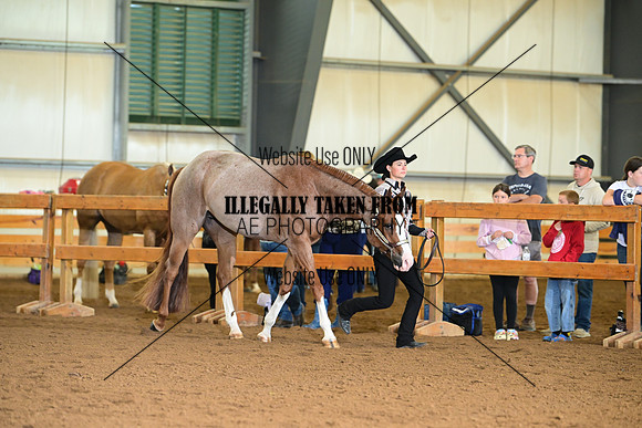 AJB_0077