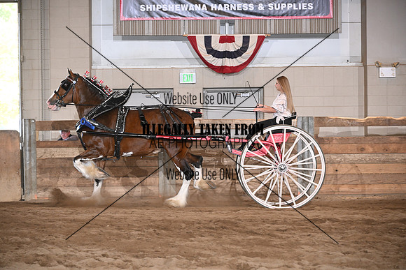 ASH_4009