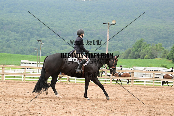 AJB_6930