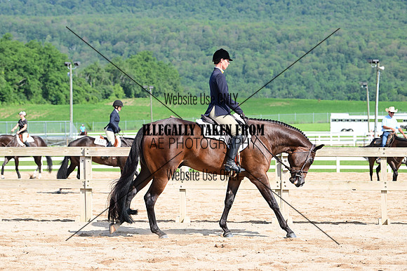 AJB_3918