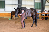 AJB_0735