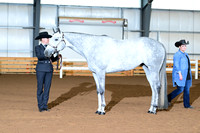 AJB_0202