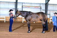 AJB_0646