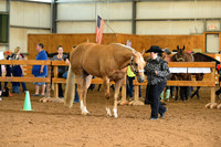 AJB_0094